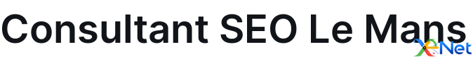 Consultant SEO Le Mans